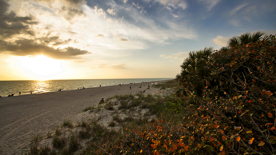 Best Beaches in Sarasota, Florida