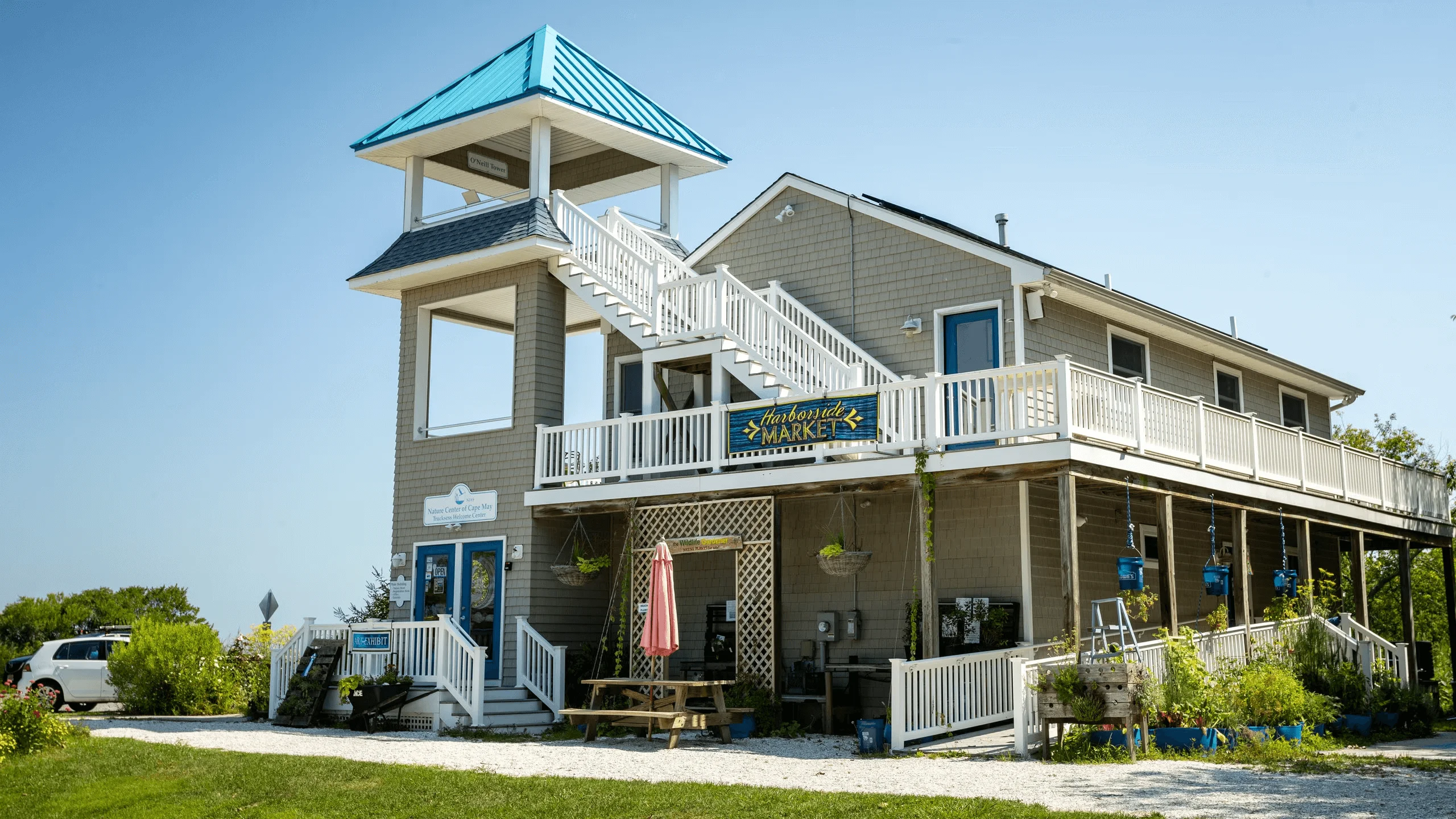 Fun Things To Do In Cape May, New Jersey