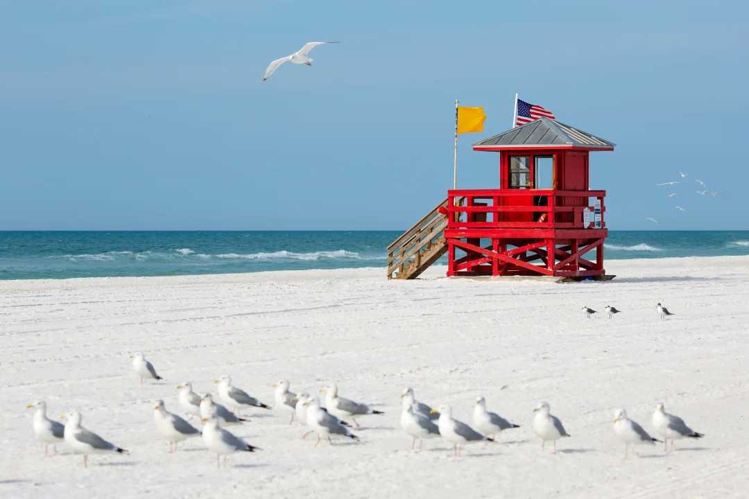 Best Beaches in Sarasota, Florida