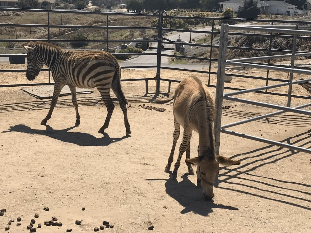 Fun Things To Do In Temecula