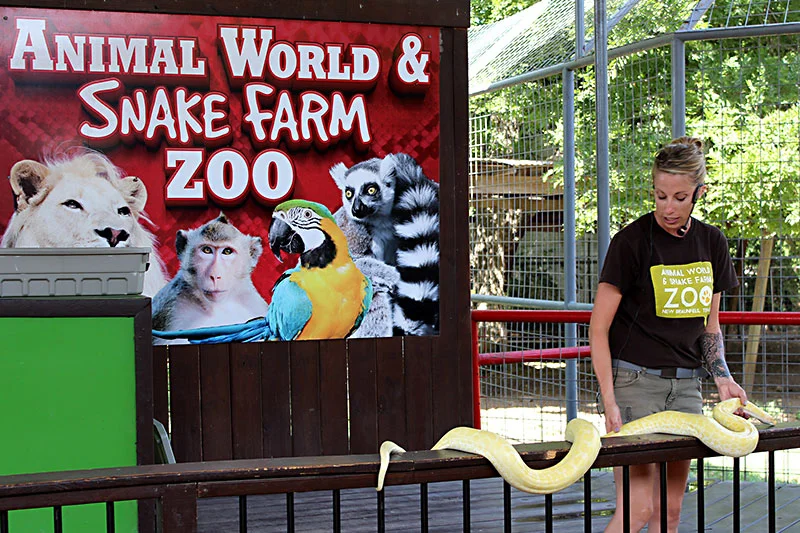 Things To Do in New Braunfels, TX