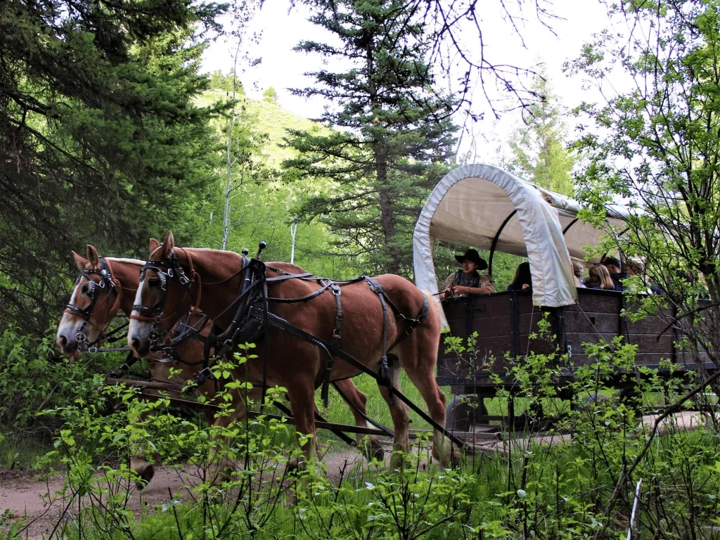 Things To Do In Jackson Hole, WY