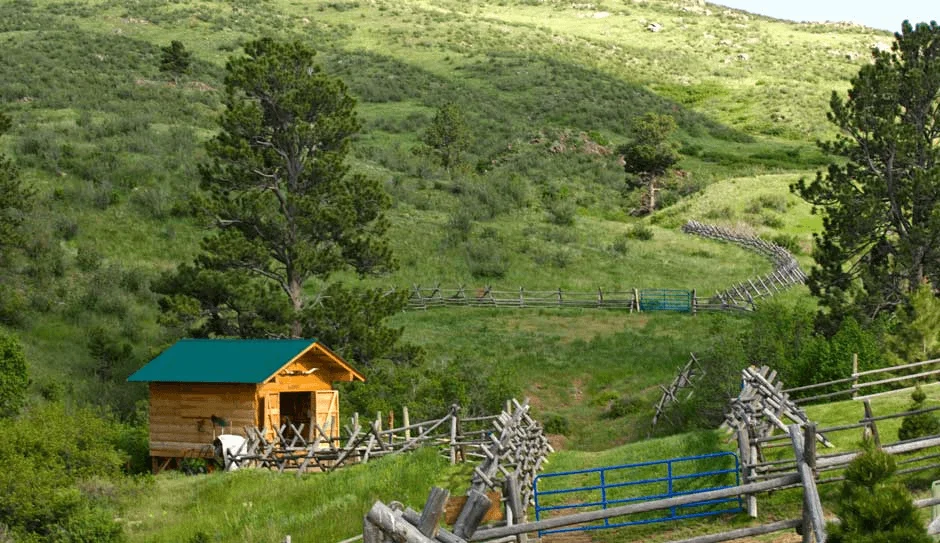 Things To Do In Cheyenne, WY