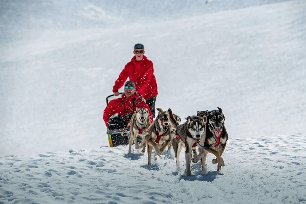 Things To Do In Jackson Hole, WY