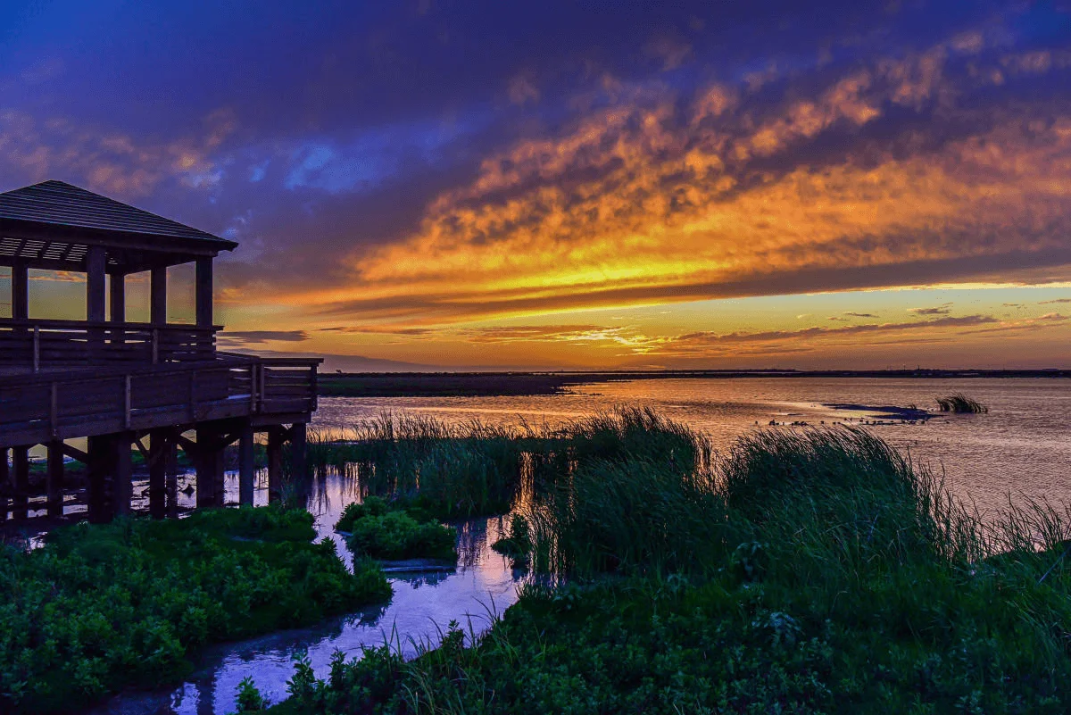 Things To Do In Port Aransas, TX