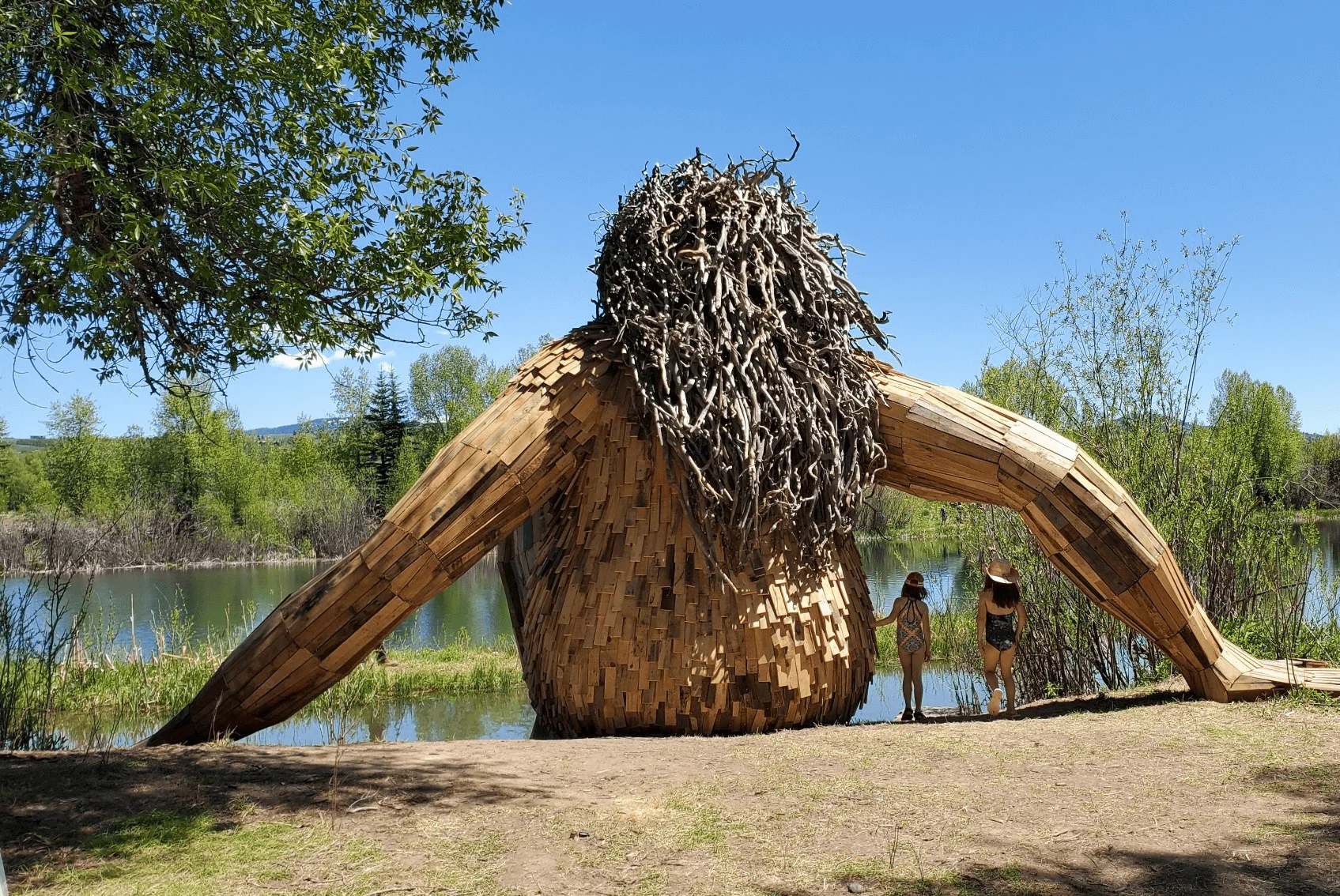 Things To Do In Jackson Hole, WY