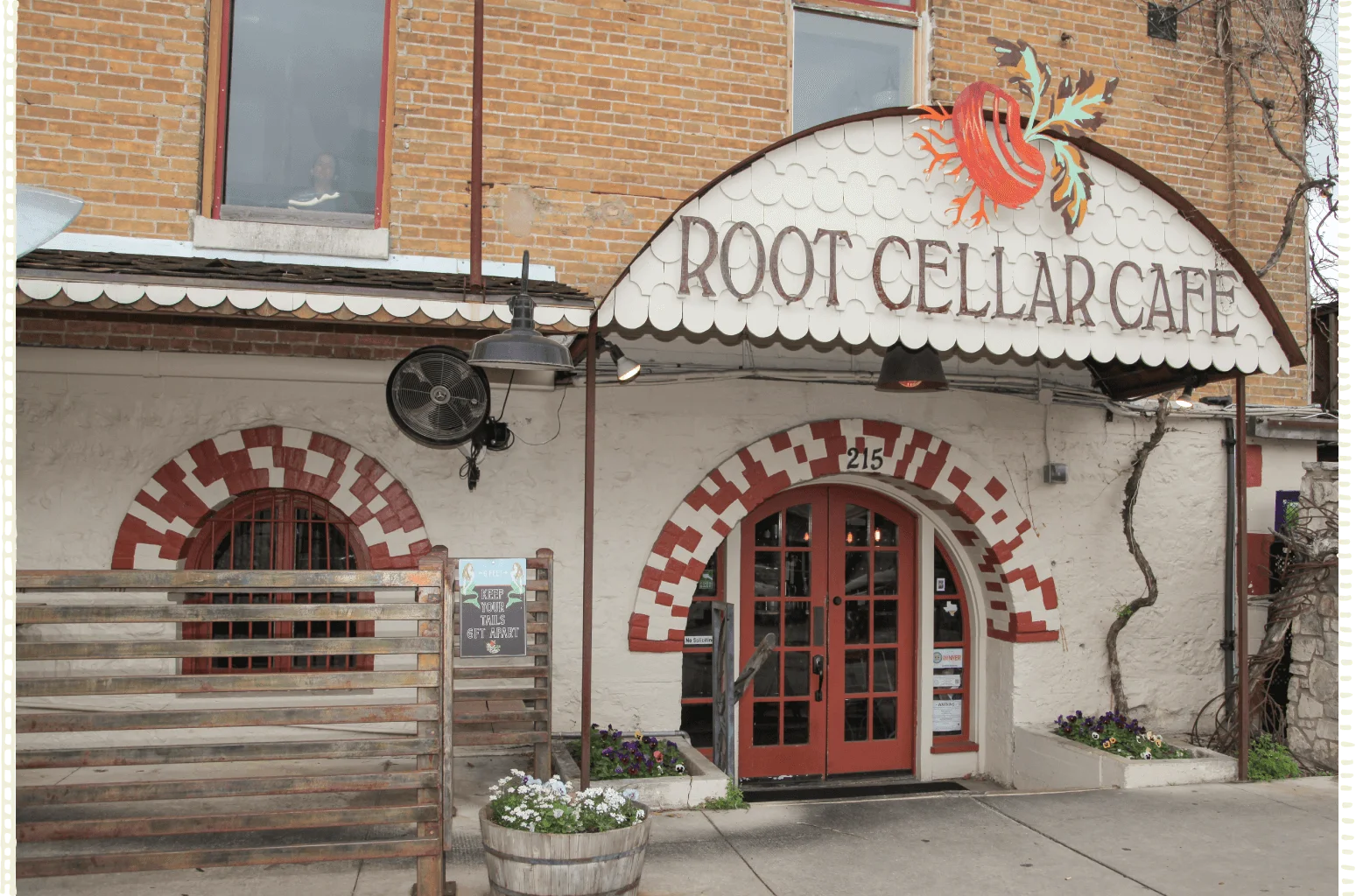 Things To Do In San Marcos, TX