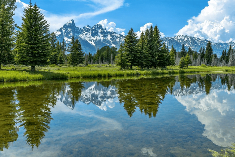 Best Time to Visit Jackson Hole, Wyoming