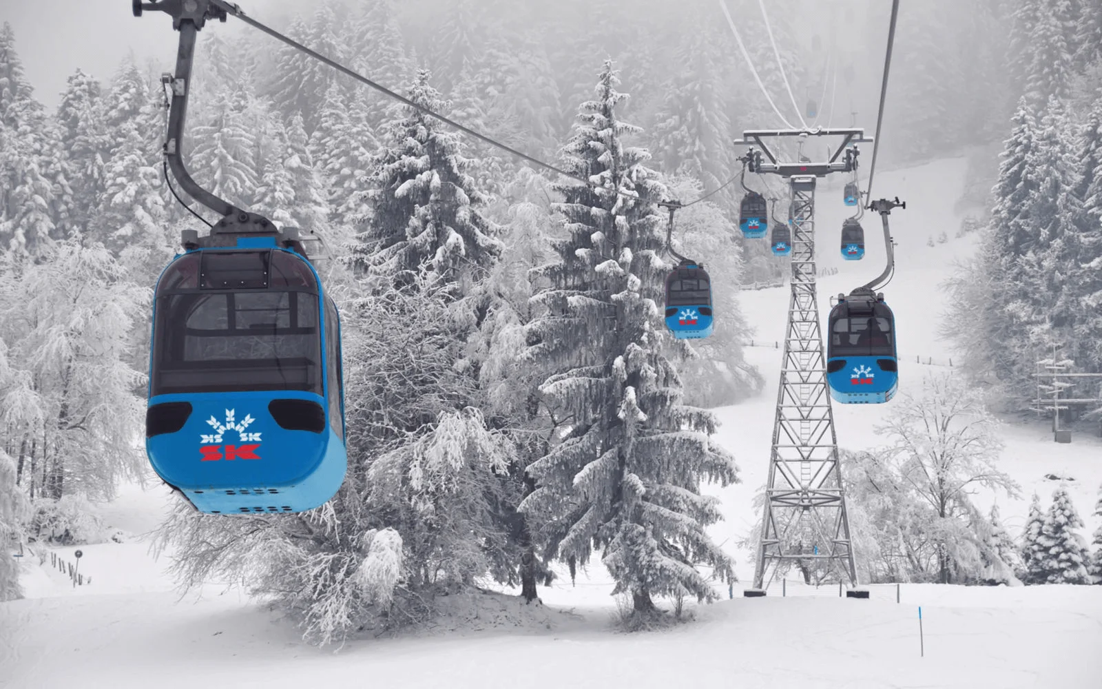 Things To Do In Jackson Hole, WY