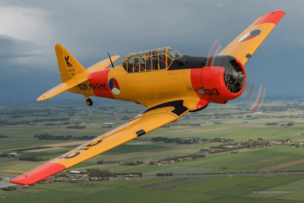 Things To Do In Port Aransas, TX