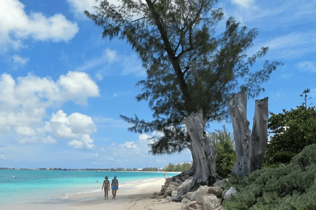 Best Time to Visit Cayman Islands