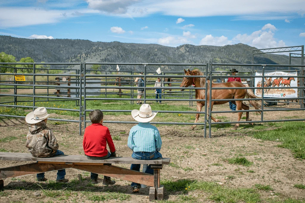 Things To Do In Laramie, WY