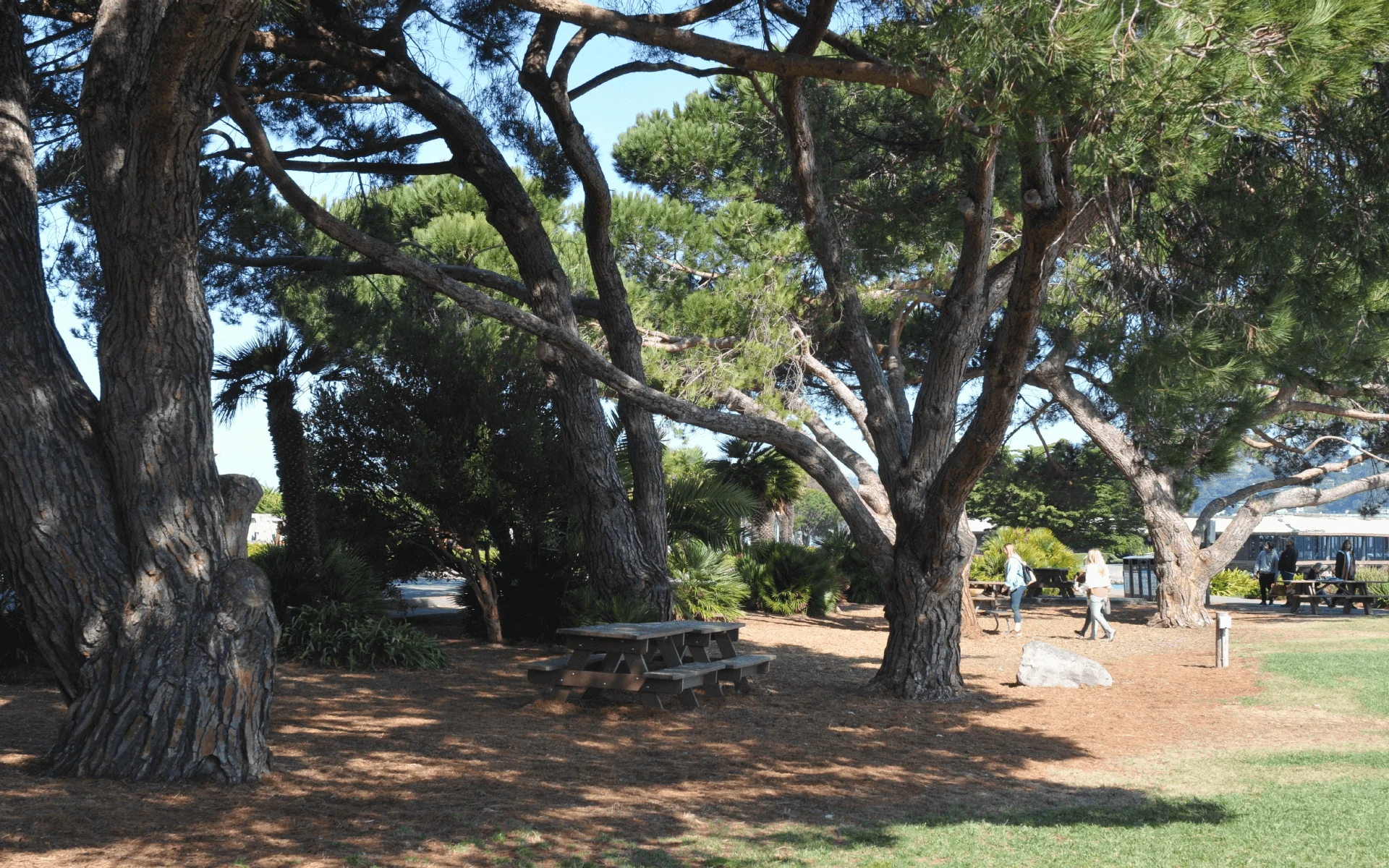 Things To Do In Sausalito, CA