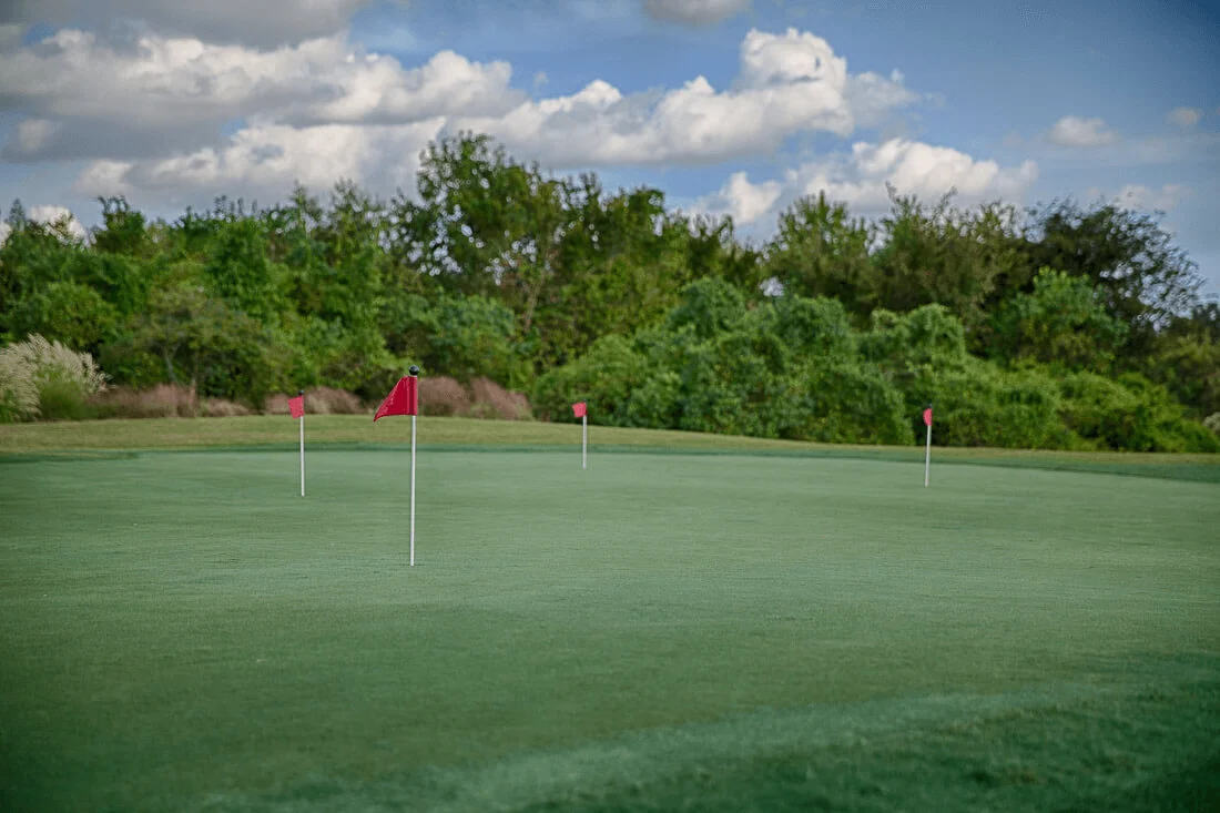 Things To Do In Katy, Texas