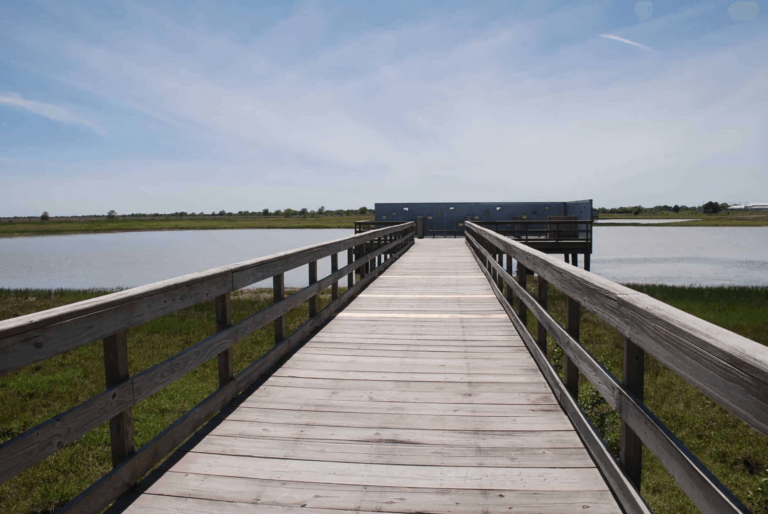 27 Best & Fun Things To Do In Katy, TX (2026) - Chief Tourist