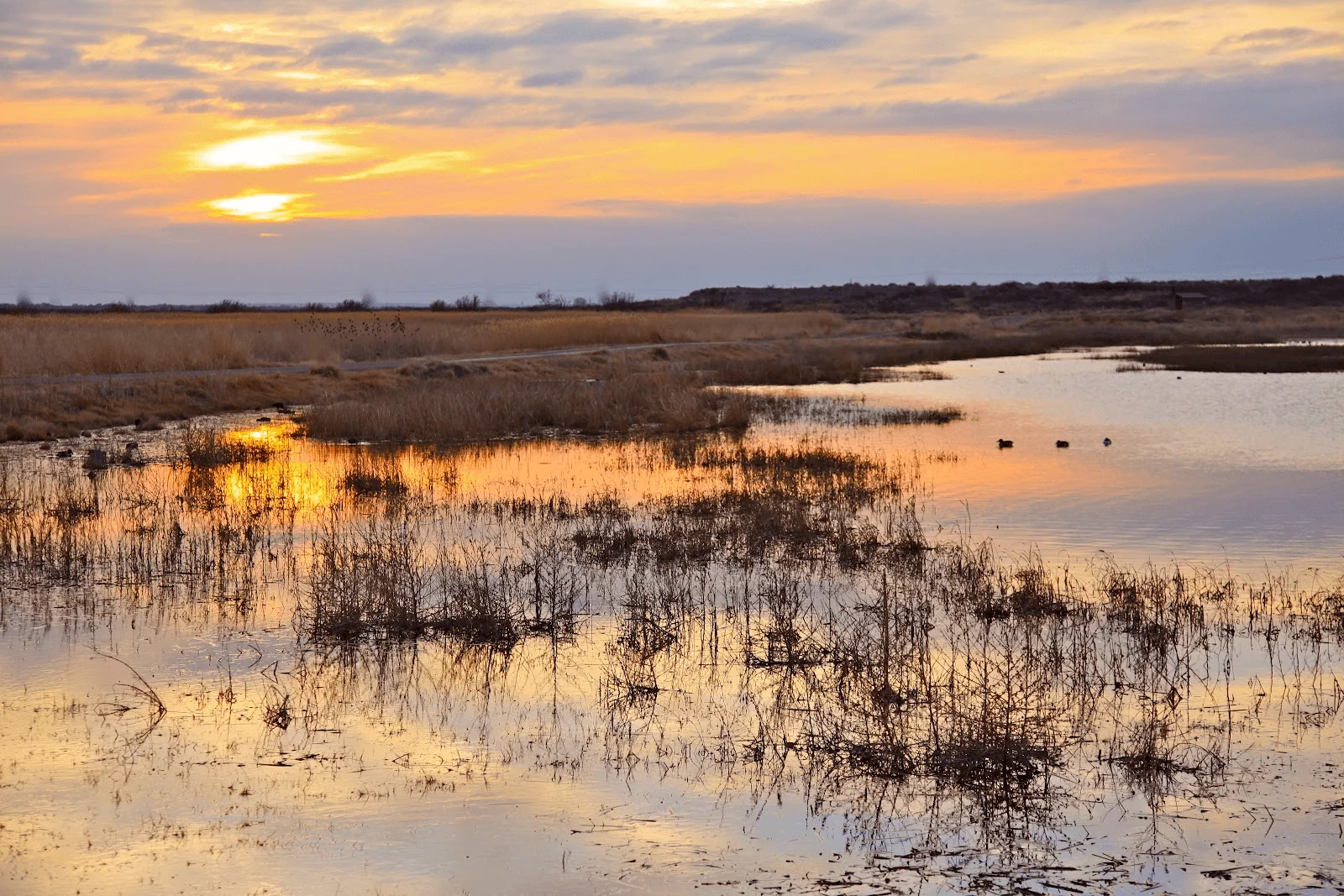 Things To Do In Roswell, NM