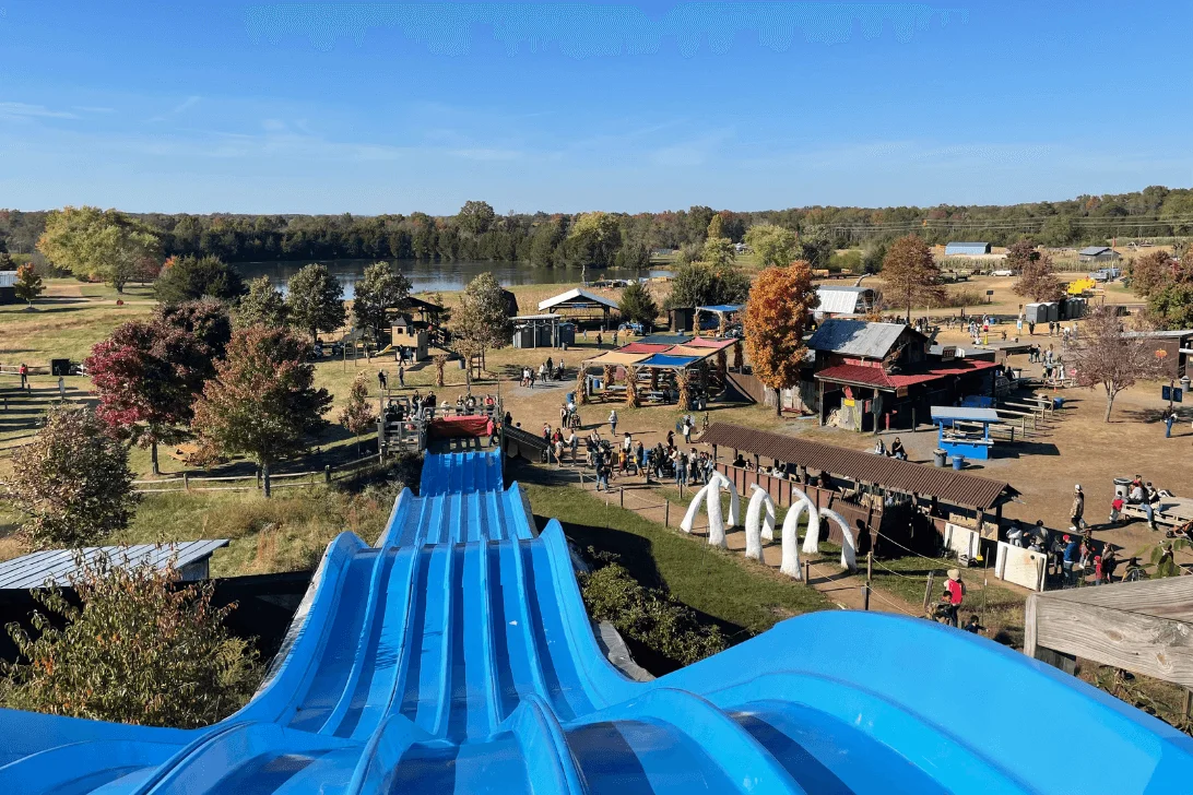 Things To Do in Chantilly, VA