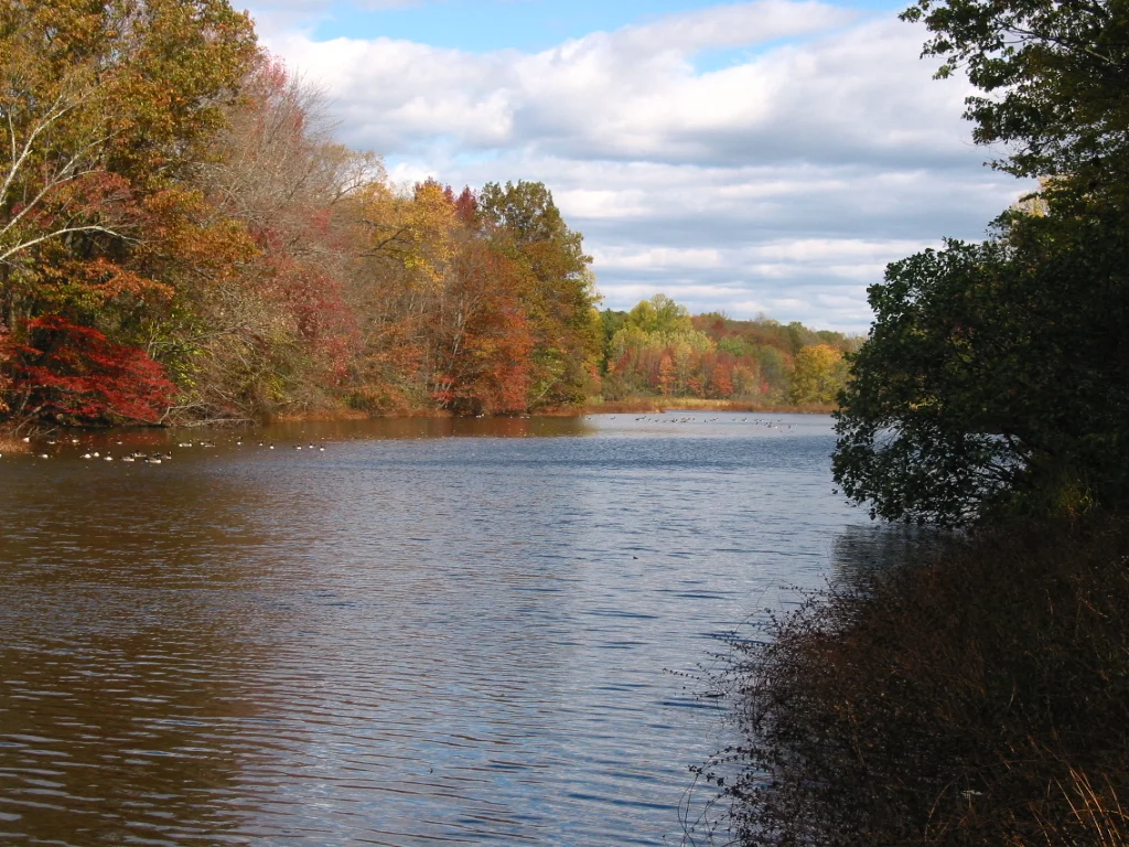 Things To Do in Edison, NJ