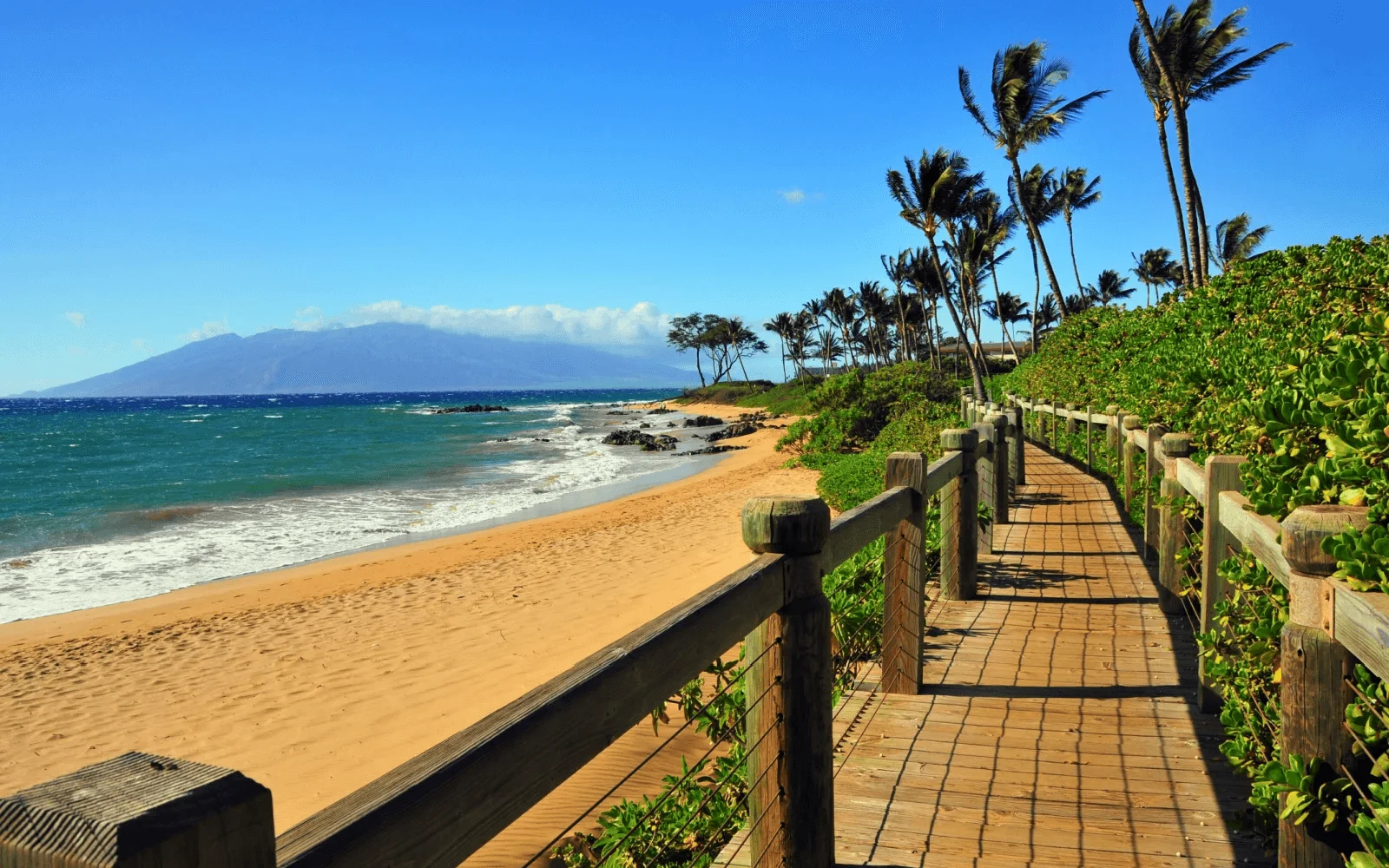 Best Time to Visit Hawaii