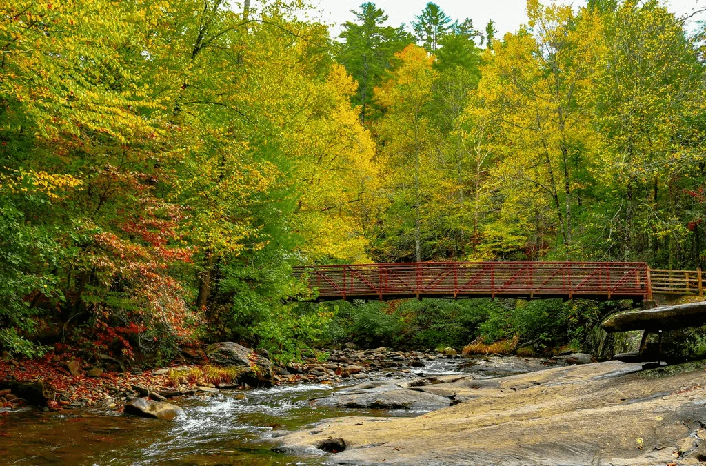 Things To Do in Murphy, NC