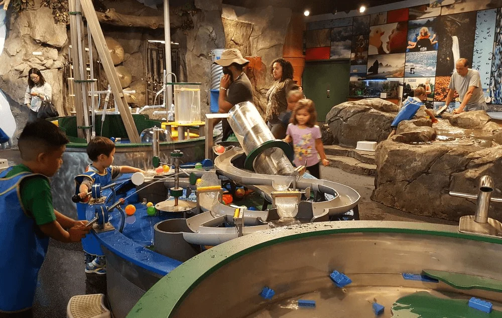 Things To Do In Bellevue, Washington