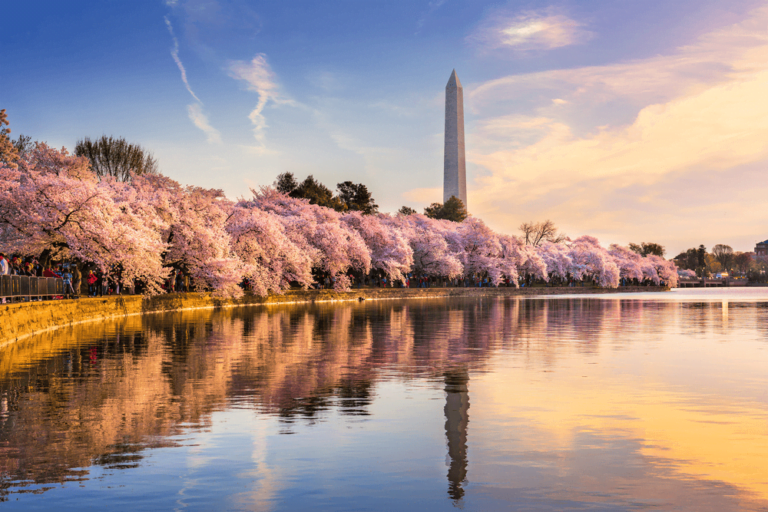 35 Best Warm Places to Visit in March in the USA
