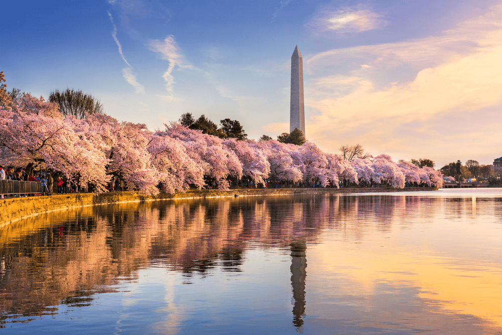 Best Warm Places to Visit in March in the USA