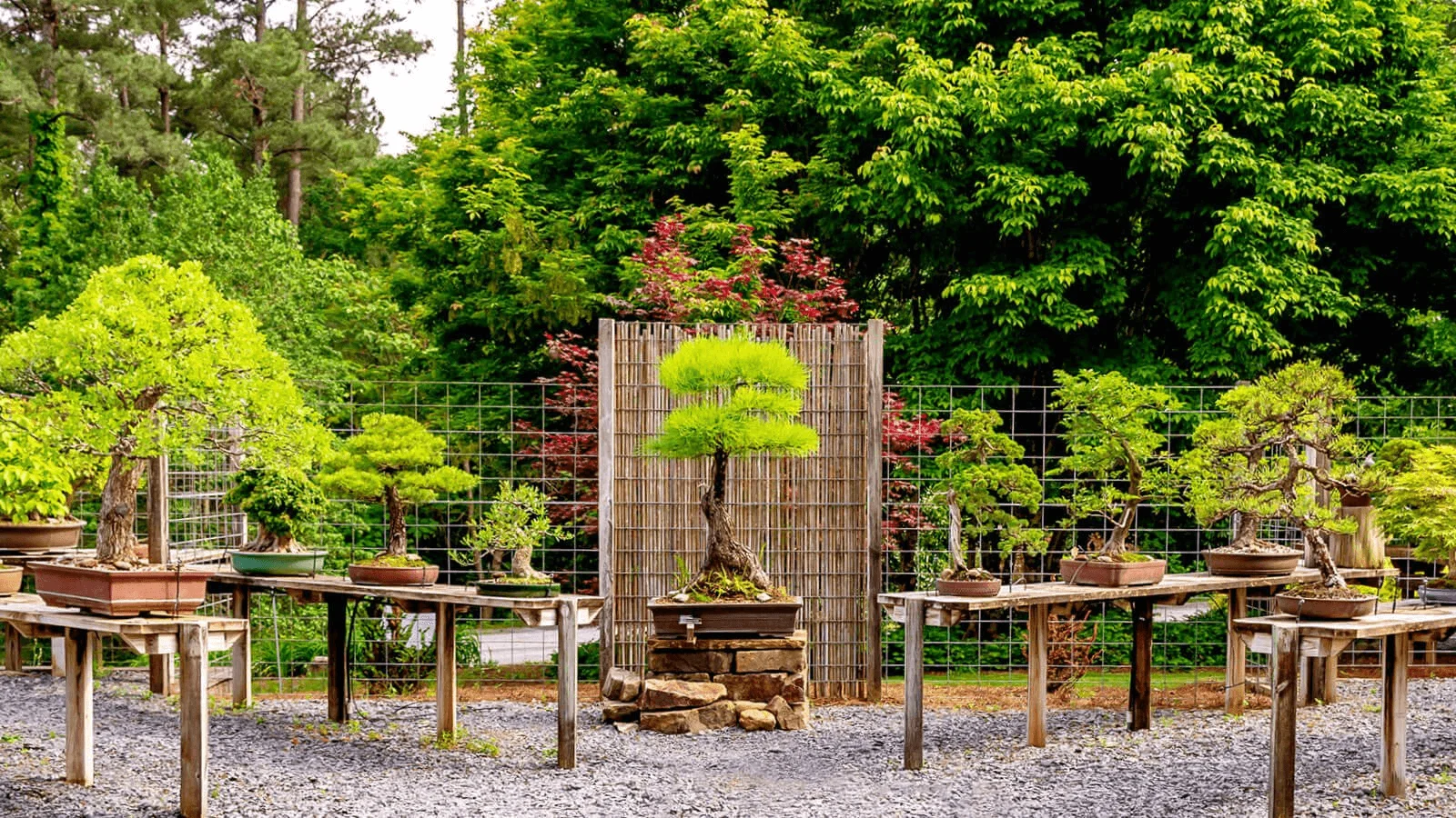 Things To Do In Kennesaw, GA