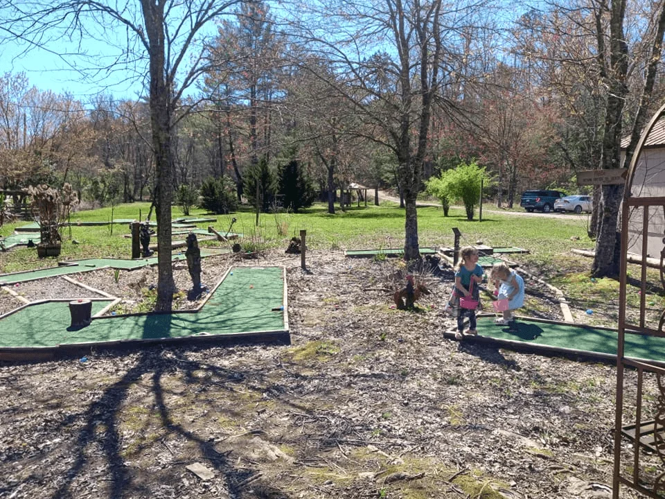 Things To Do in Murphy, NC