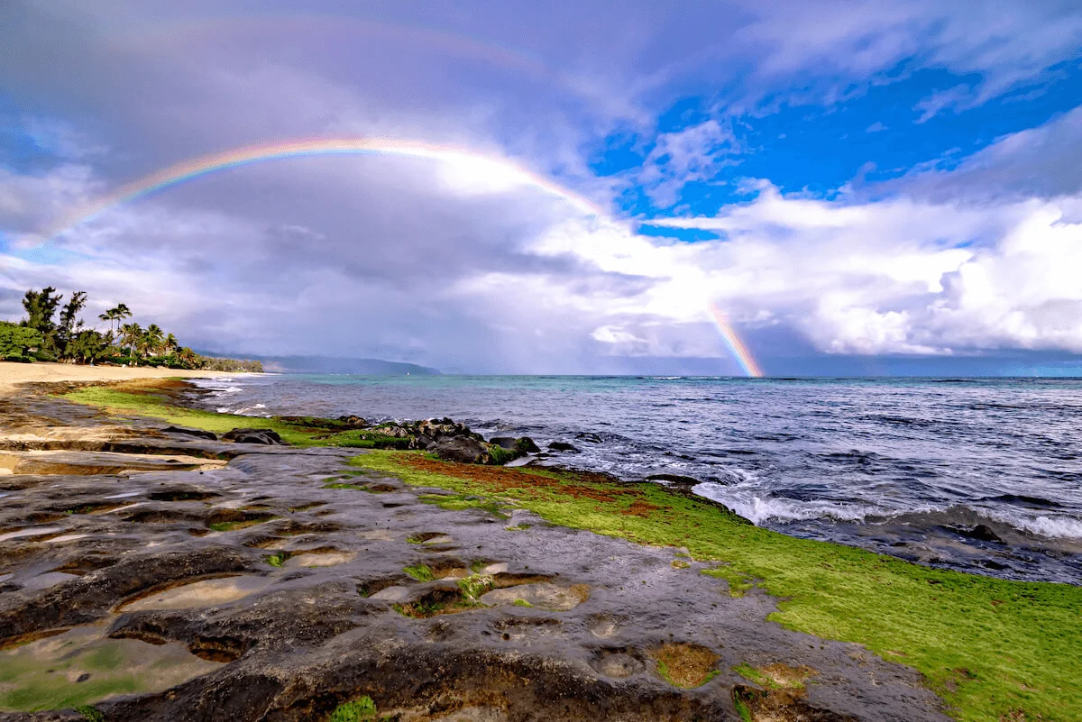 Best Time to Visit Hawaii