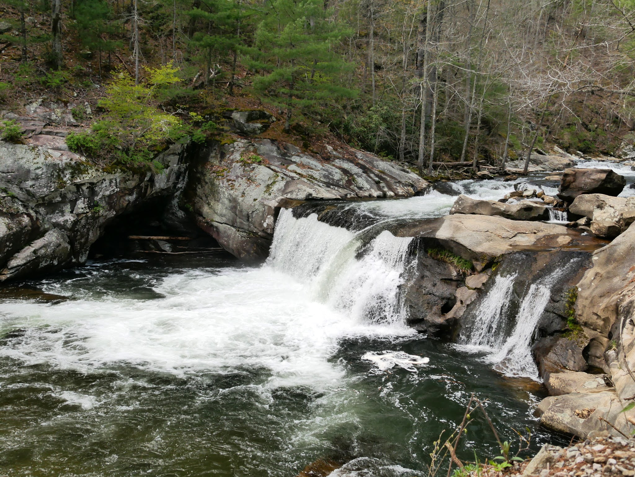 Things To Do in Tellico Plains, TN