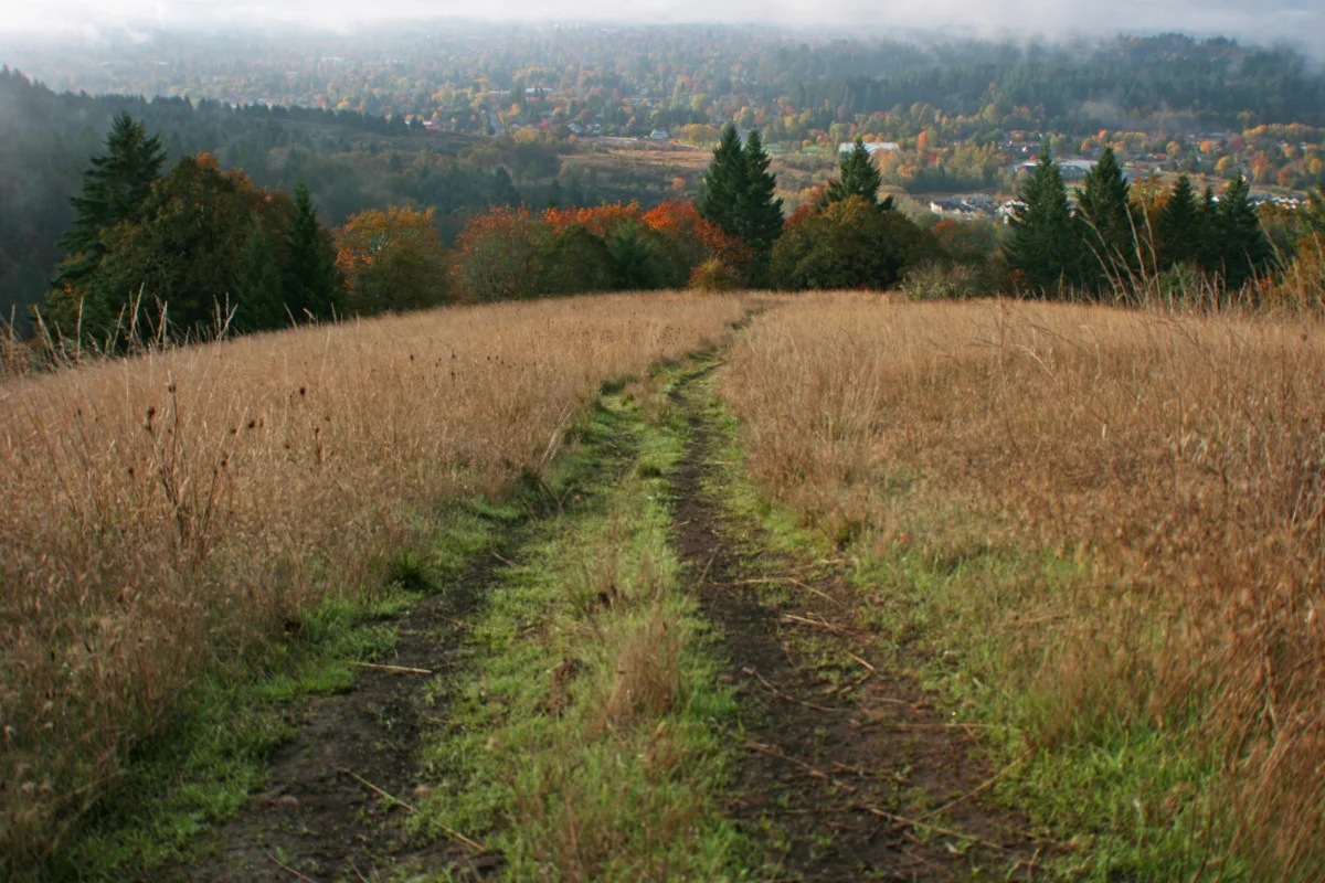 Things To Do In Corvallis, OR