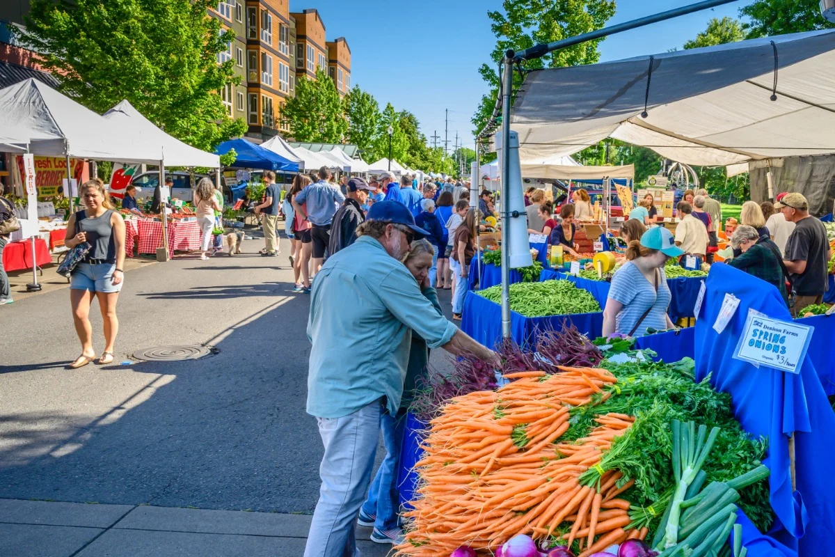Things To Do In Corvallis, OR