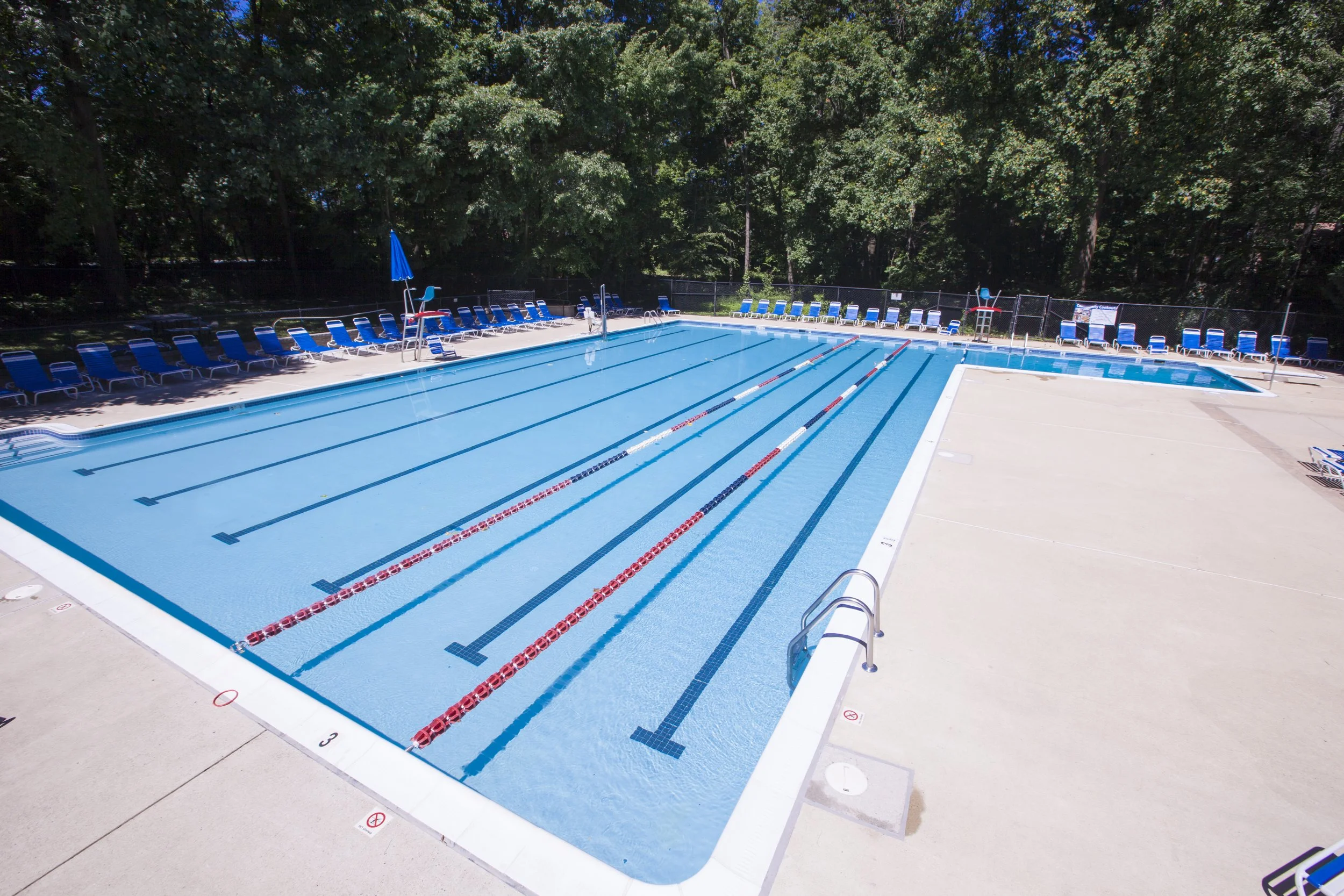 Things To Do In Reston, VA