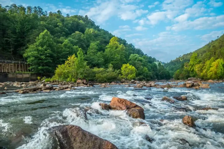17 Best & Fun Things To Do in Tellico Plains, TN