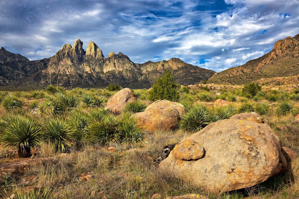 Things To Do In La Cruces, NM