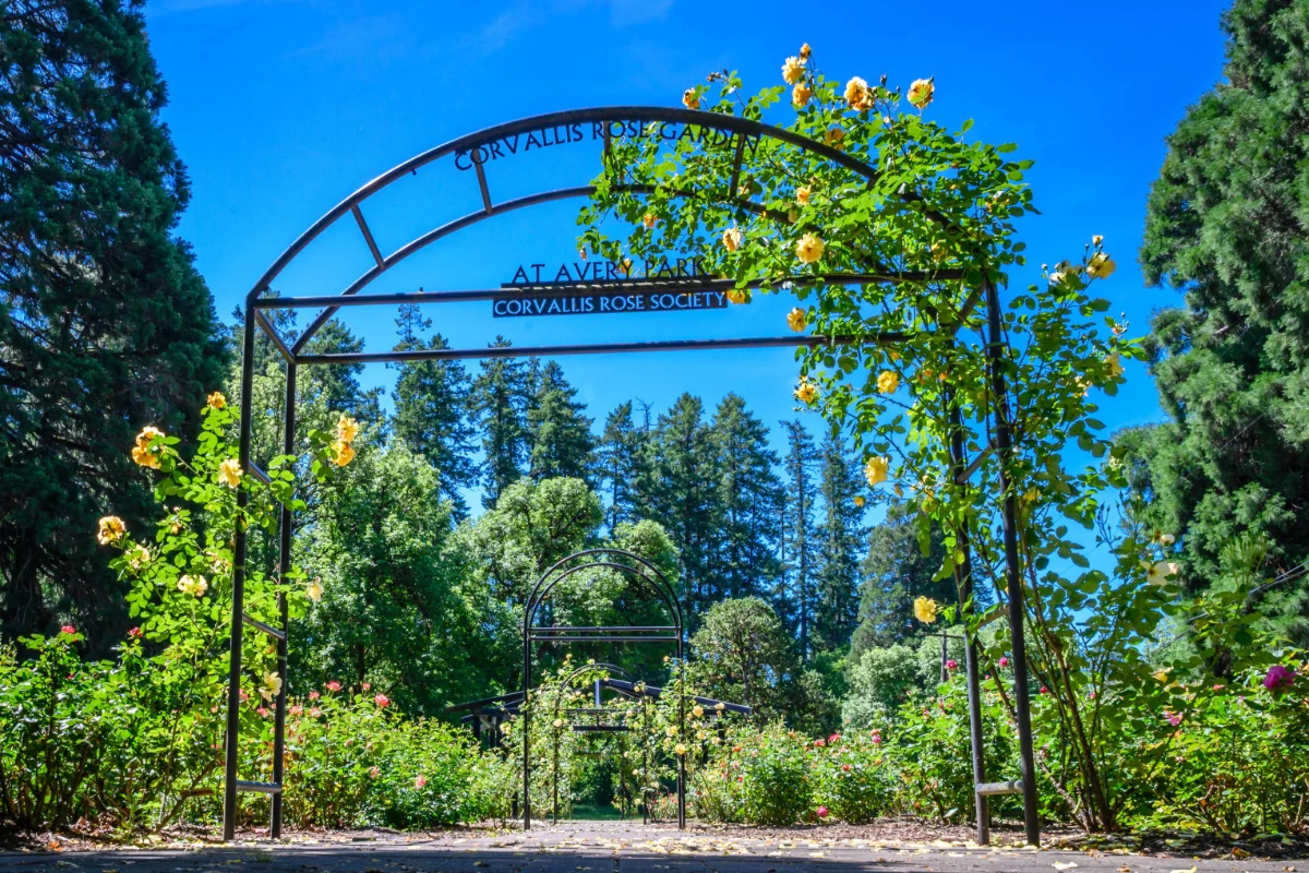 Things To Do In Corvallis, OR