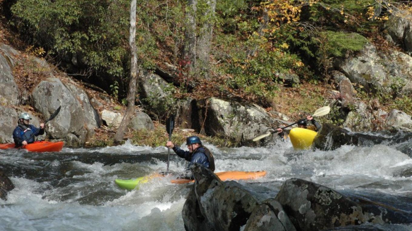 Things To Do in Tellico Plains, TN