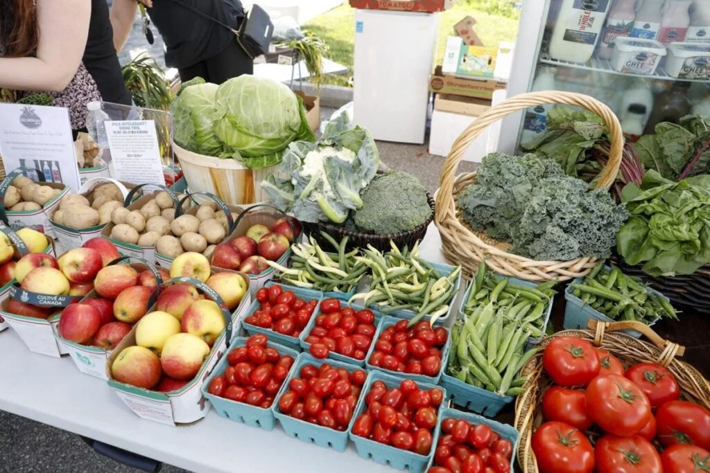 things to do in Charlevoix,MI 