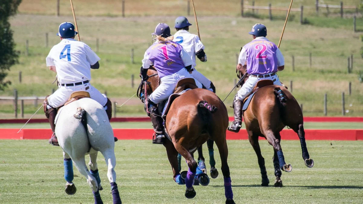 Things To Do In Sheridan, WY