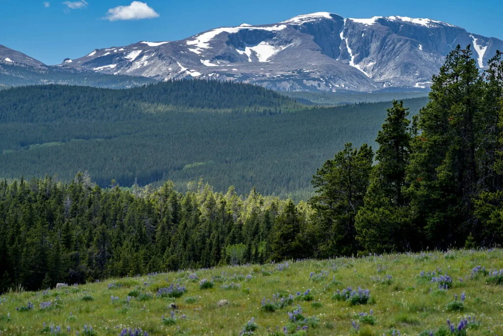 Things To Do In Ludlow, VT