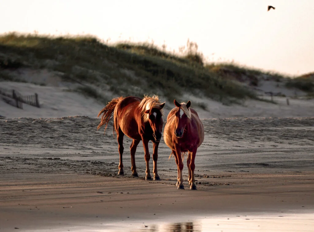 Things to do in Canton, TX.