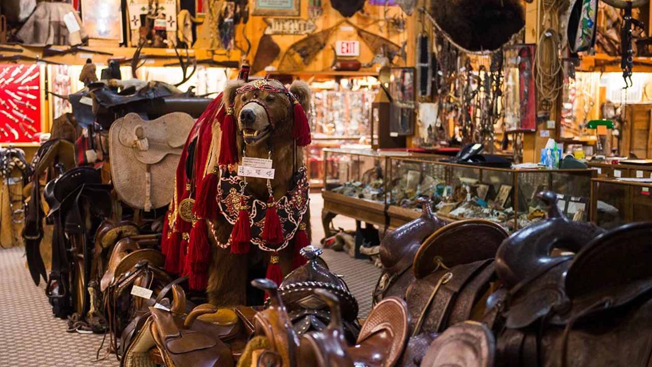 Things To Do In Sheridan, WY