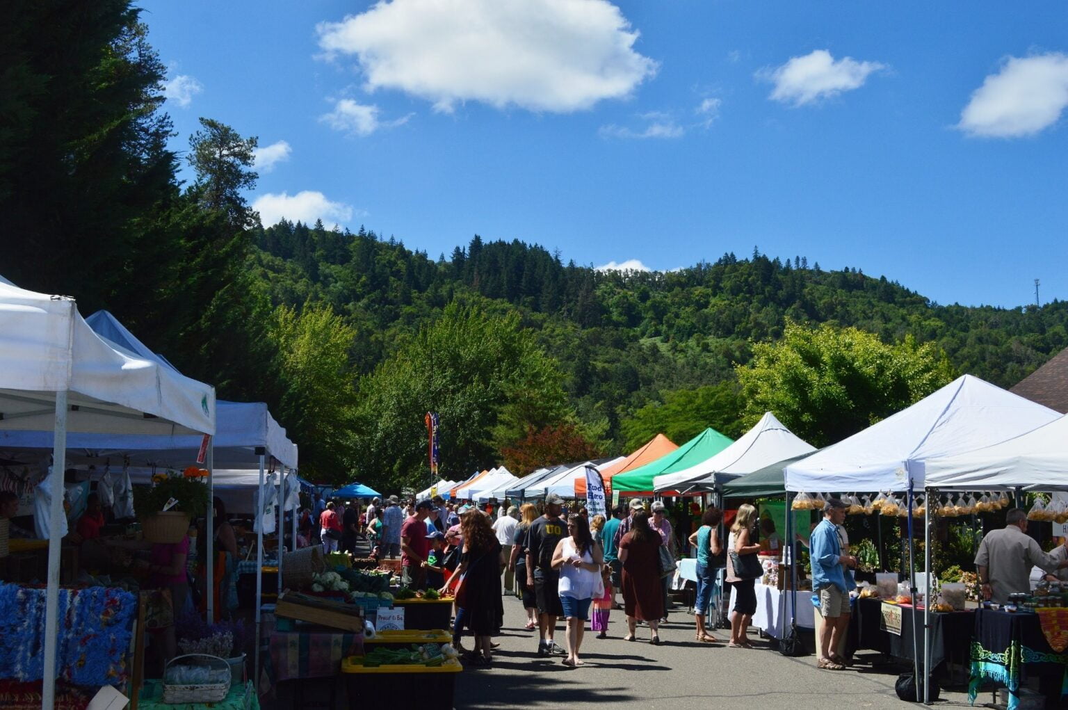 21 Best & Fun Things To Do In Silverton, OR (2025) Chief Tourist