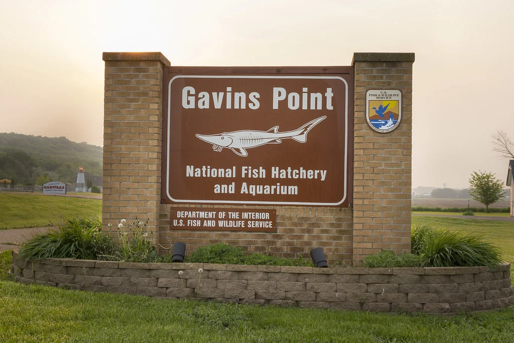 Things To Do In Yankton, SD