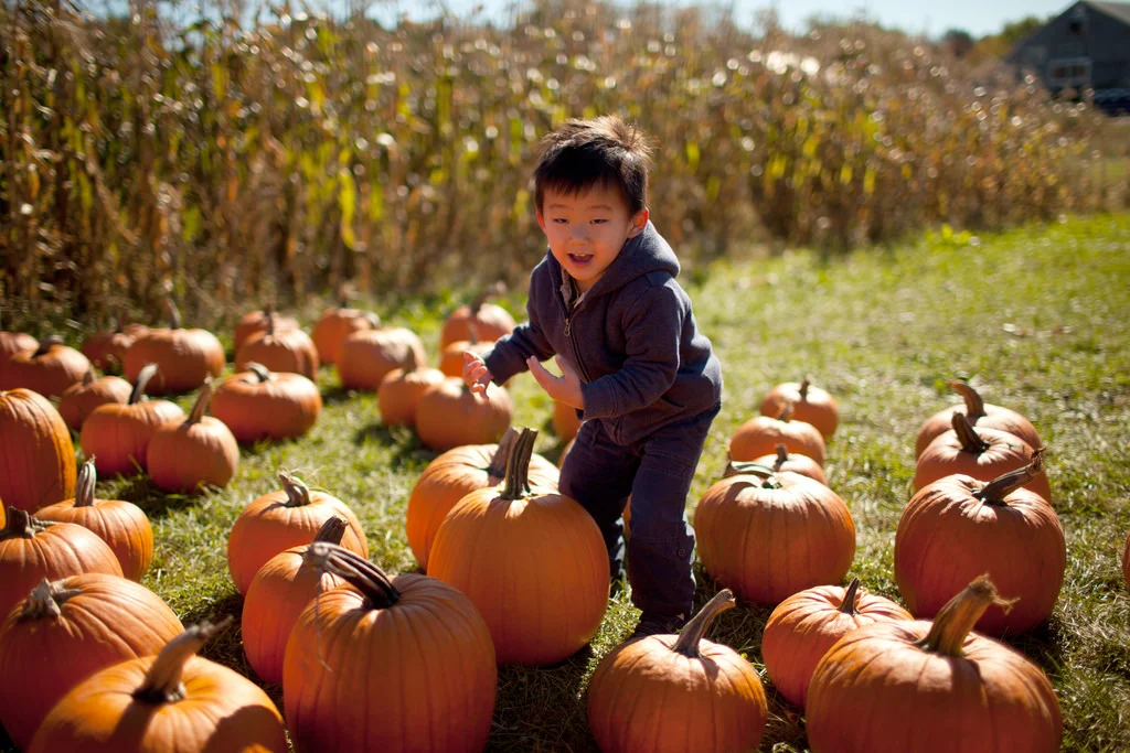 Things To Do In Yankton, SD