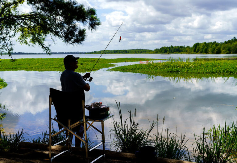 32 Best & Fun Things To Do In Talkeetna, AK (2024) - Chief Tourist