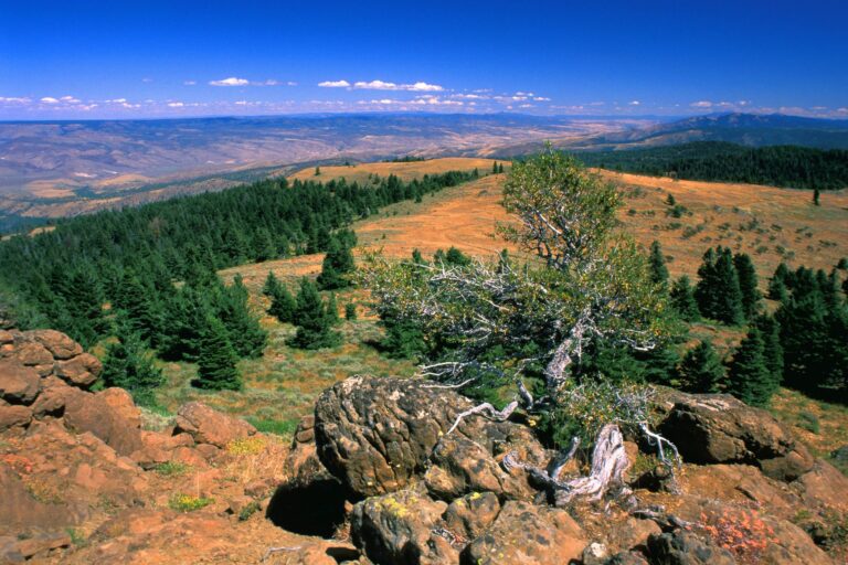 24 Best & Fun Things To Do In Prineville, OR