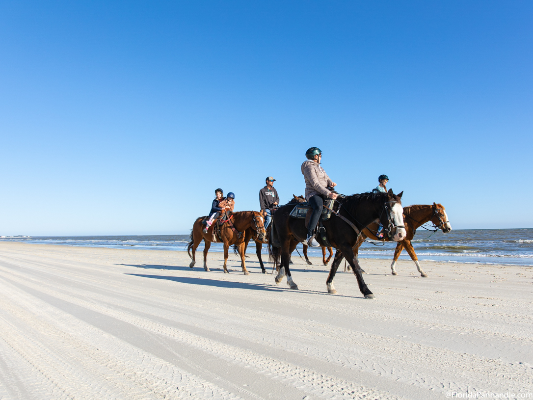 Things to do in Capa San Blas