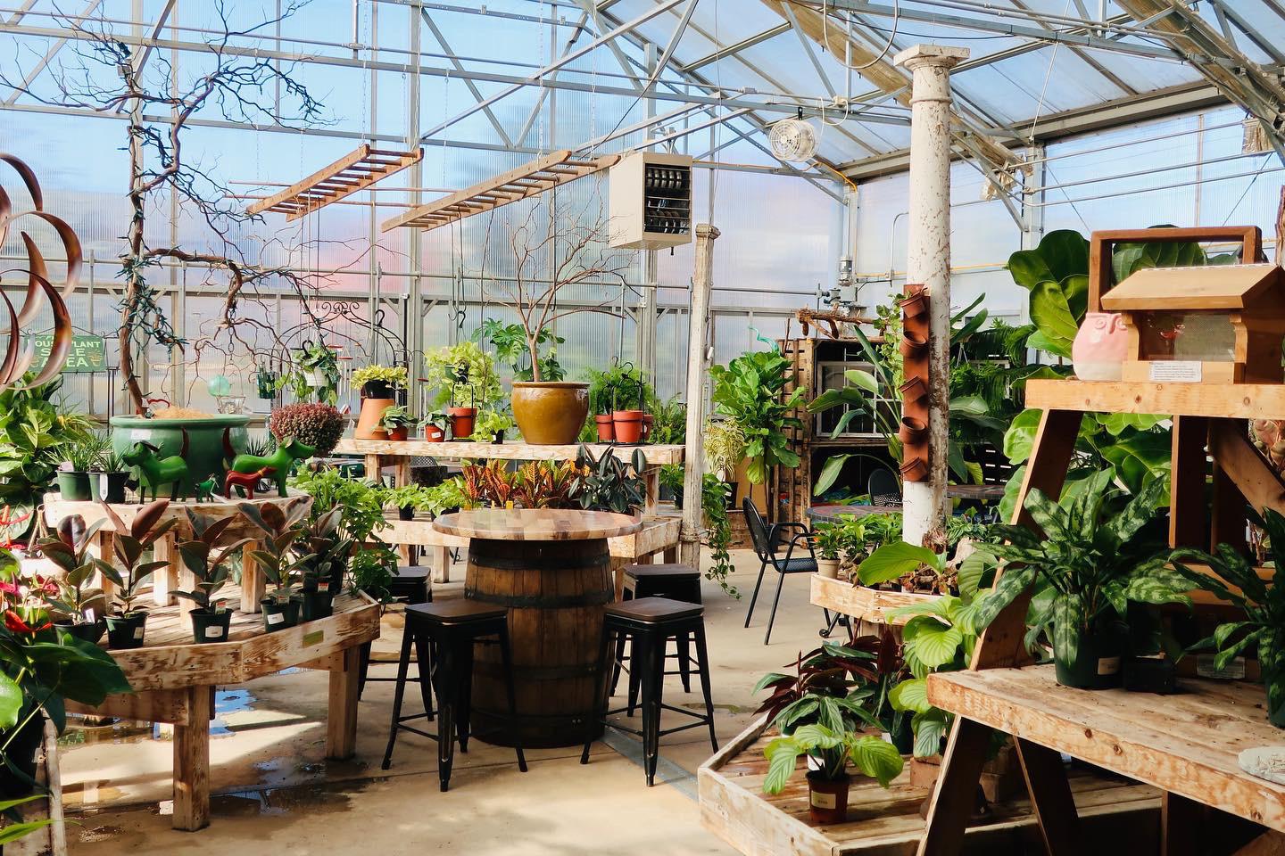 Things to do in Woodstock, VA